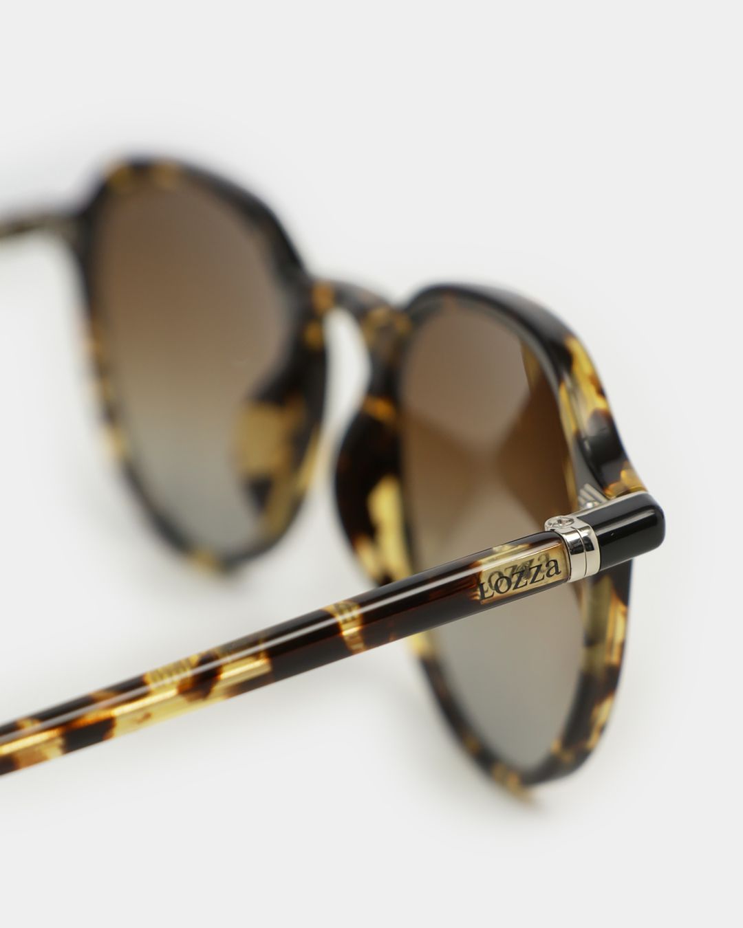 Купить Очки LOZZA EYEWEAR