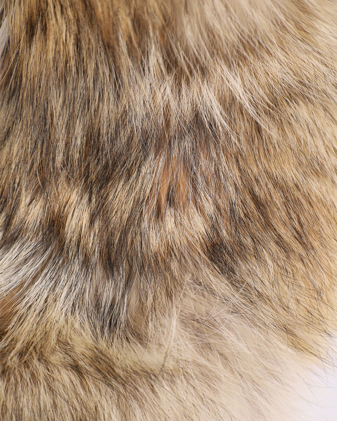 Купить Воротник SENCELLERIE