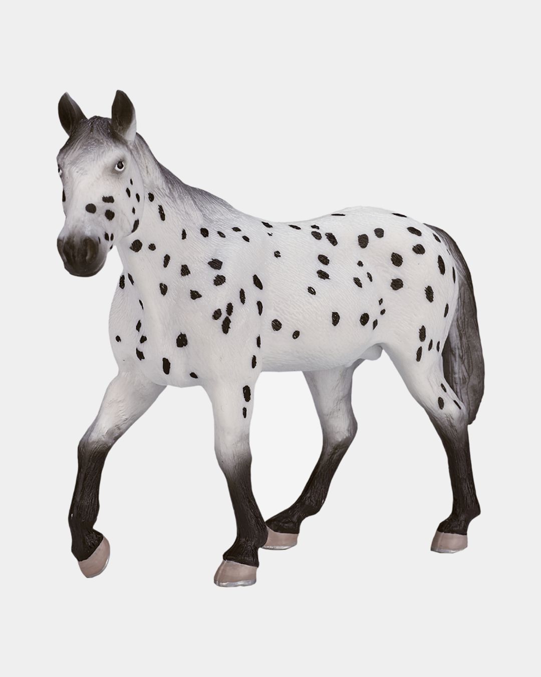 Купить Аппалузский жеребец KONIK