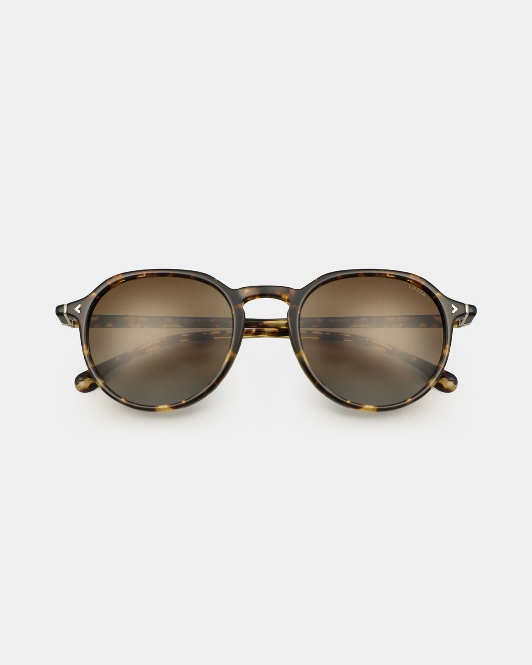 Купить Очки LOZZA EYEWEAR