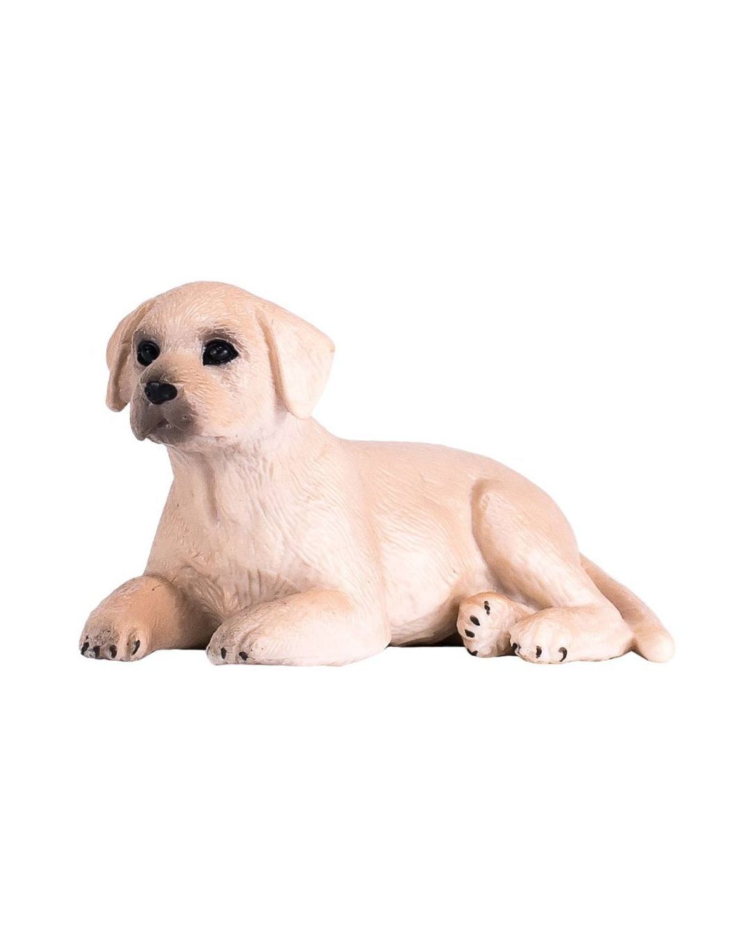 Купить Лабрадор щенок KONIK