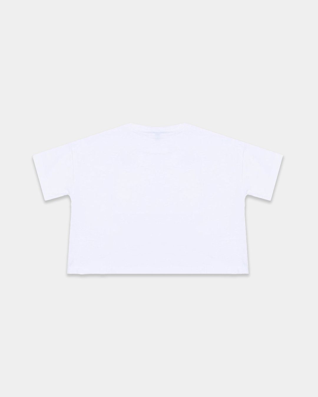 Купить Футболка IL GUFO