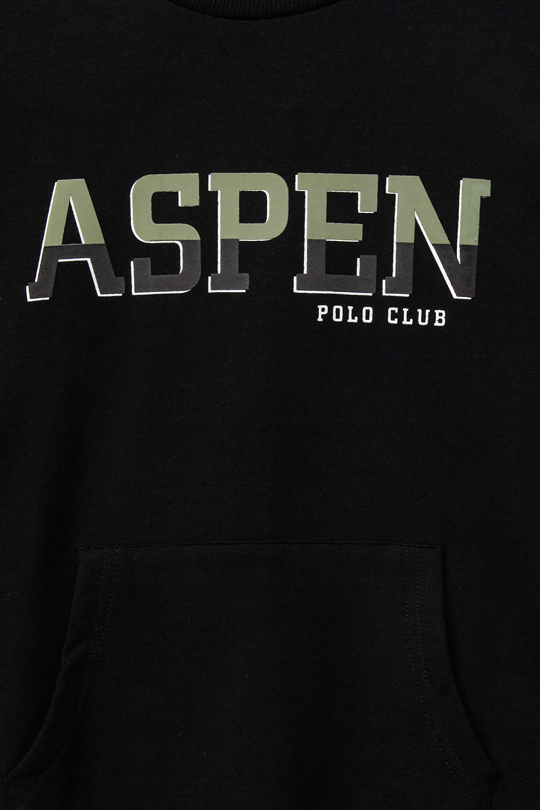Купить Свитшот ASPEN POLO CLUB