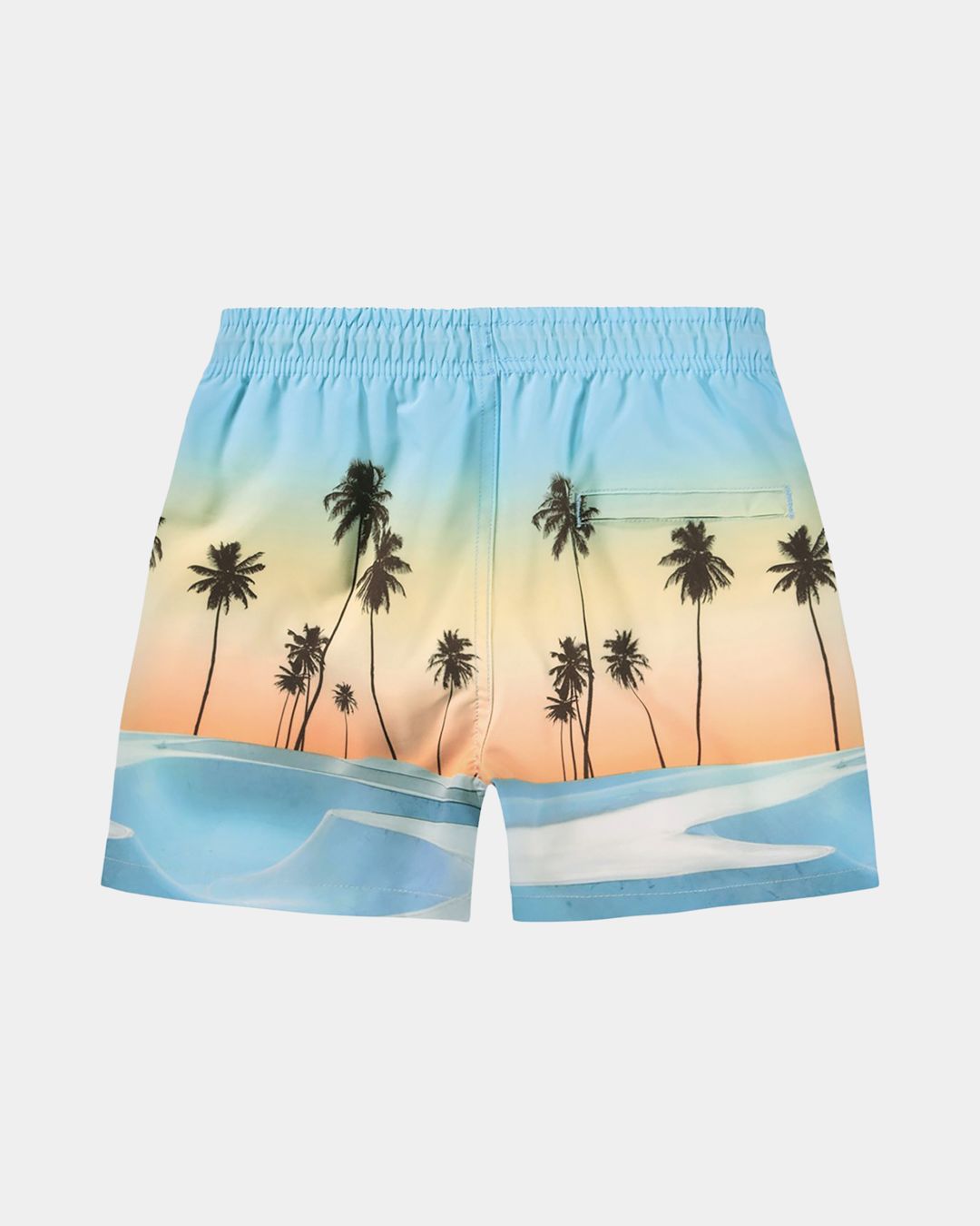 Купить Шорты пляжные MOLO