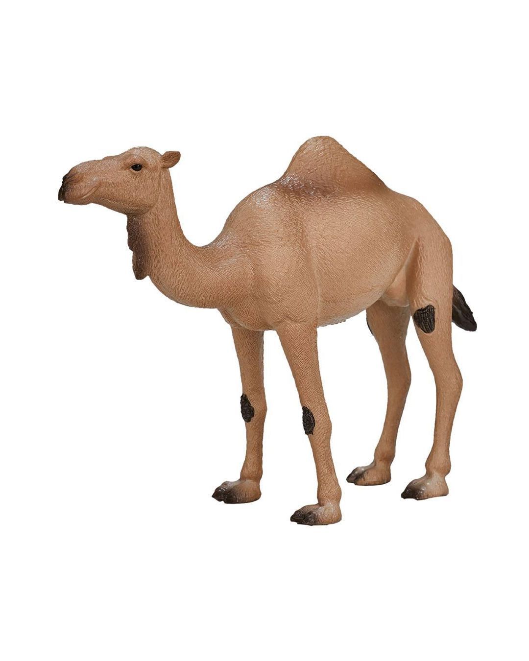 Купить Одногорбый верблюд KONIK