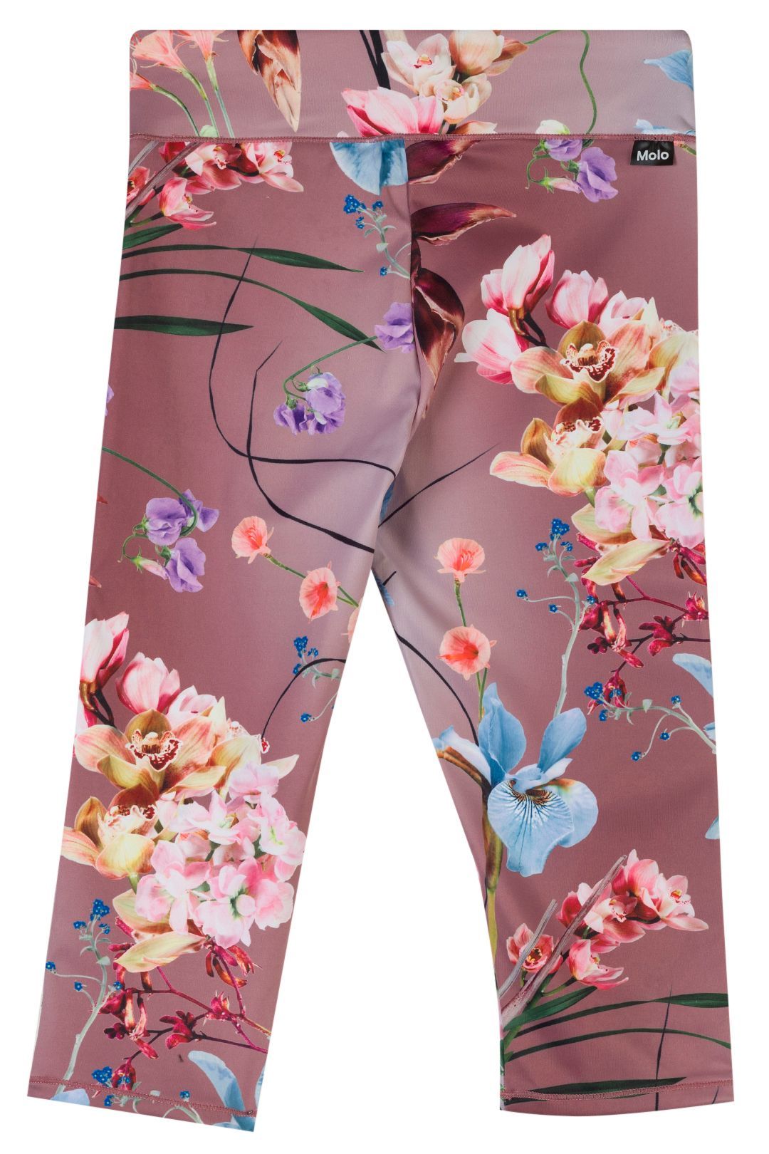 Купить Леггинсы MOLO