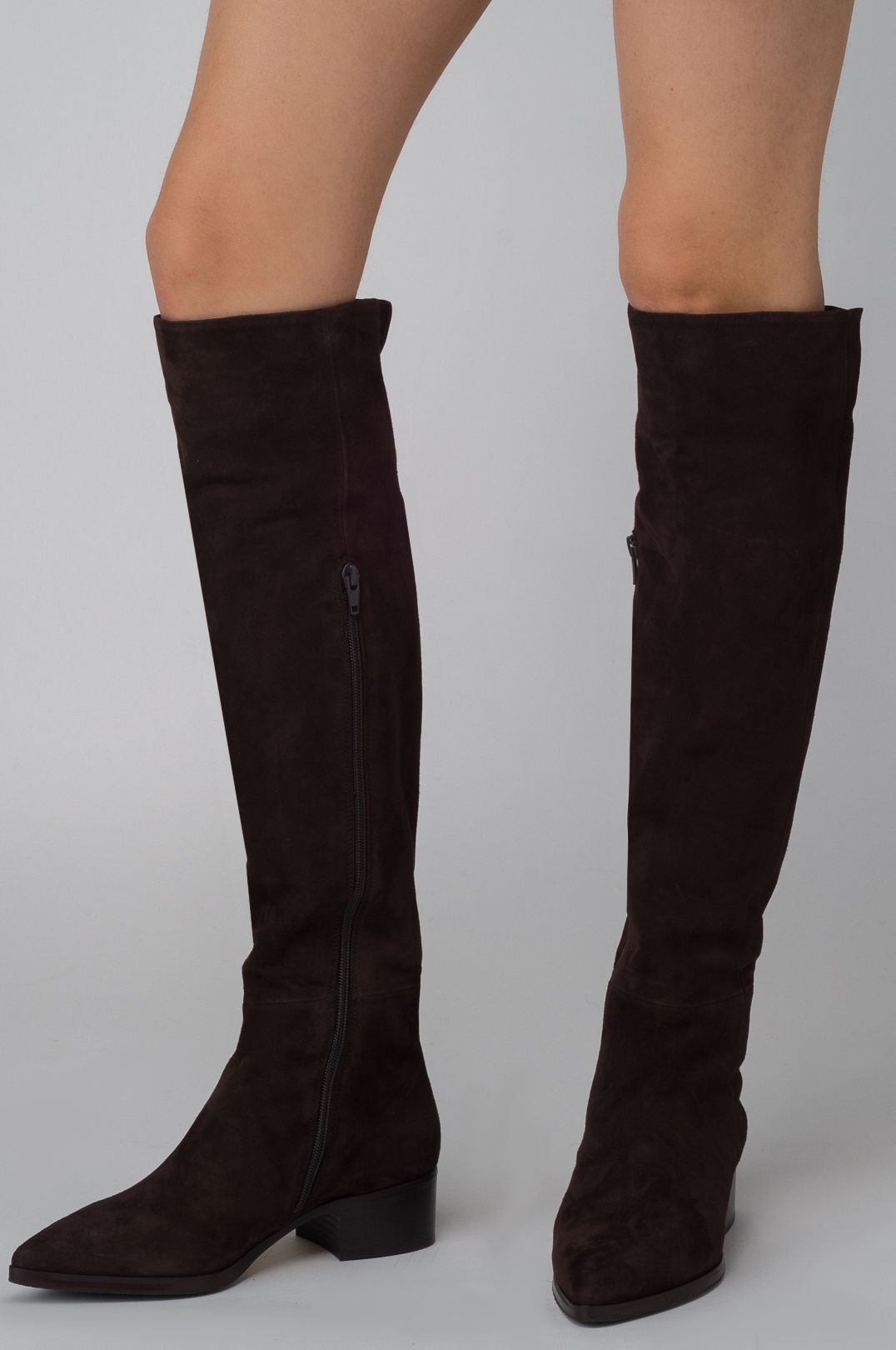 Купить Ботфорты LE PEPE