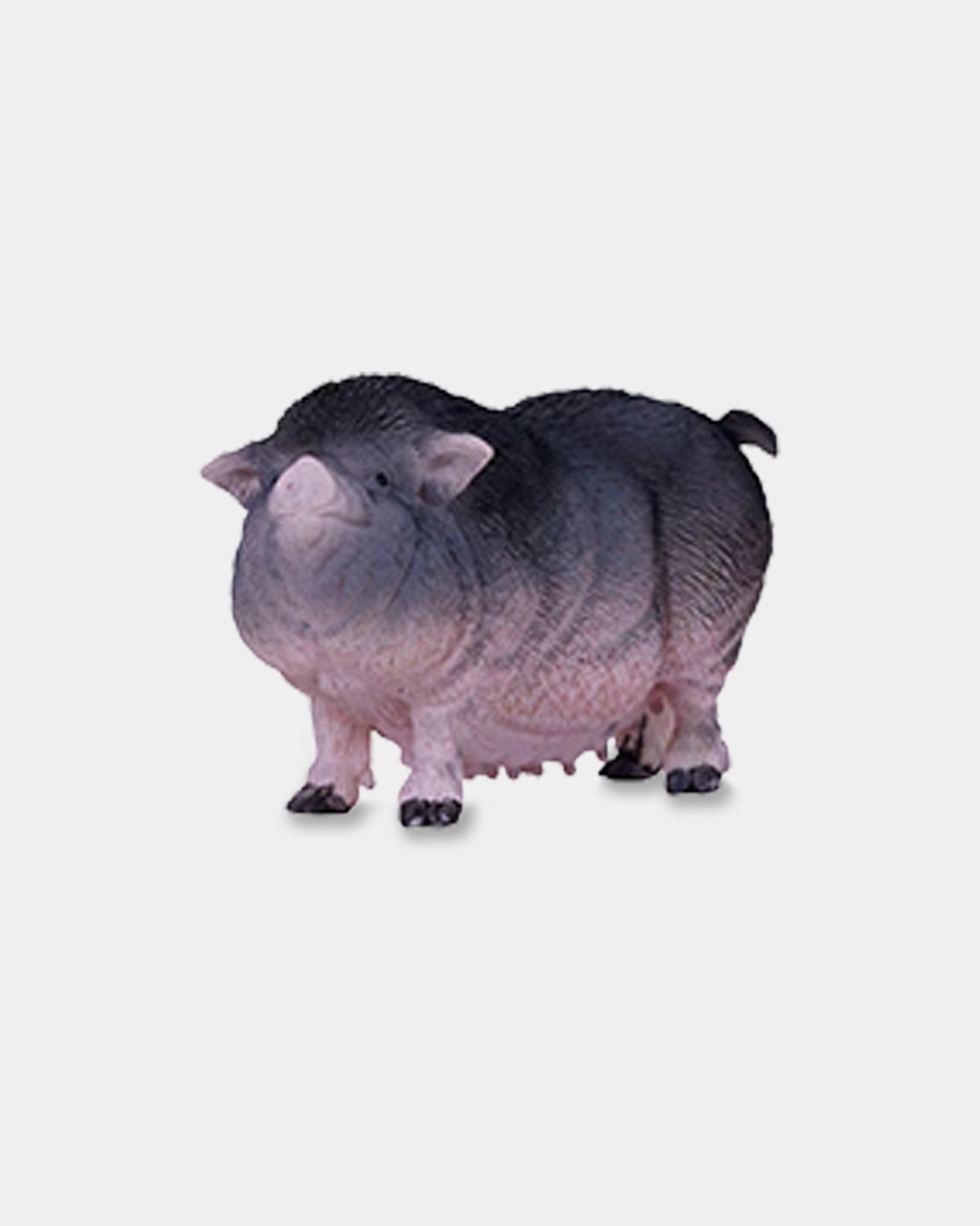 Купить Вислобрюхая свинья KONIK