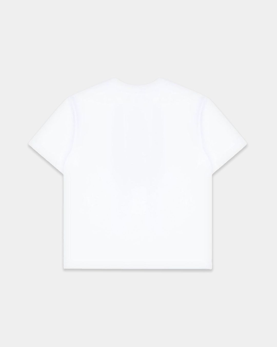 Купить Футболка DOLCE & GABBANA