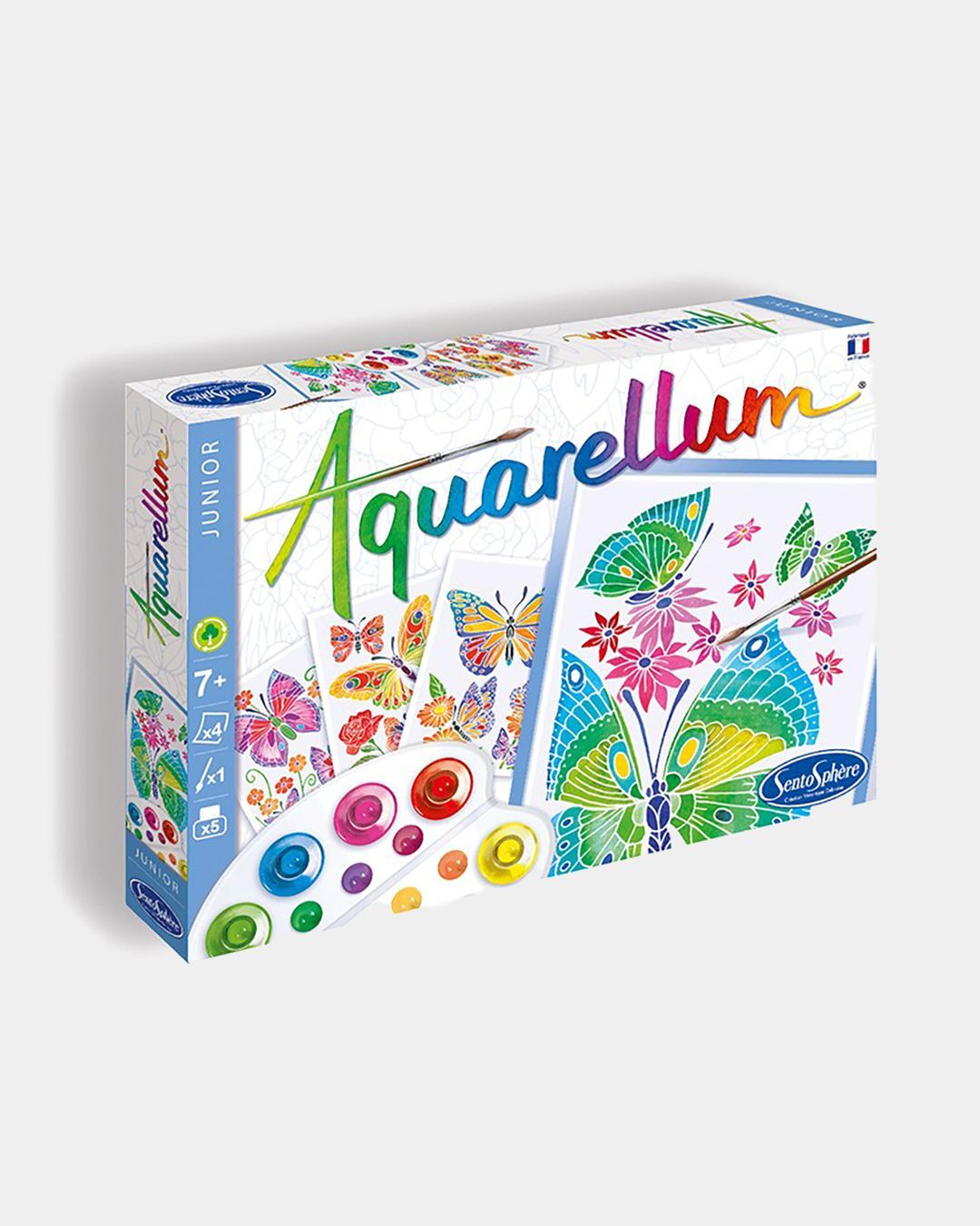 Купить Акварельная раскраска  цветы и бабочки SENTOSPHERE