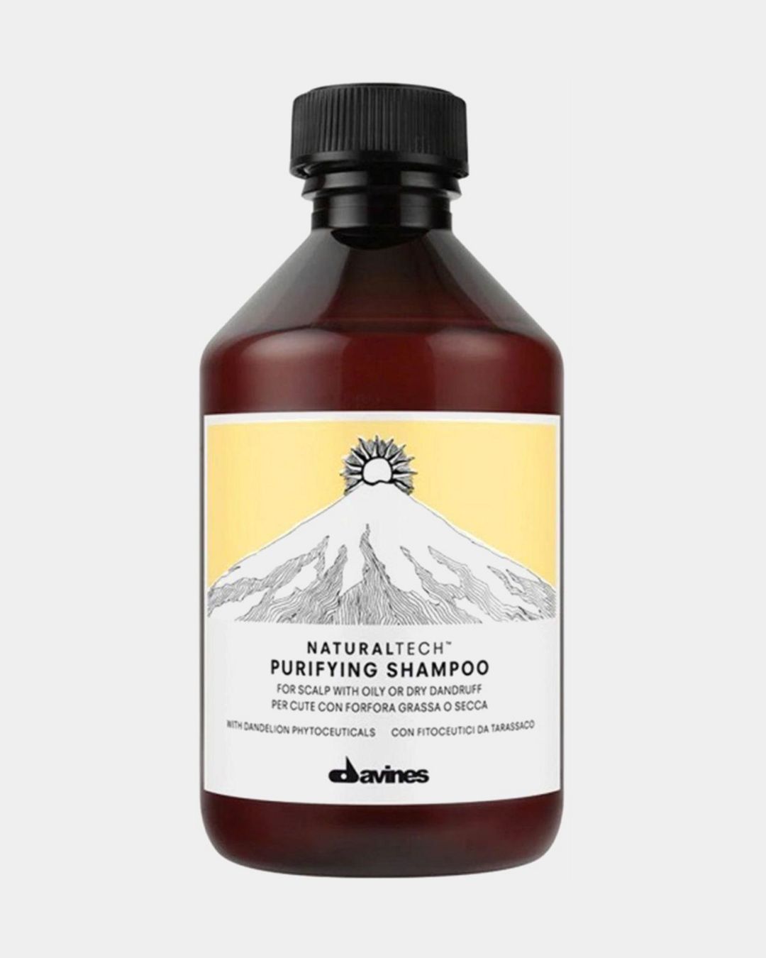 Купить Очищающий шампунь против перхоти DAVINES