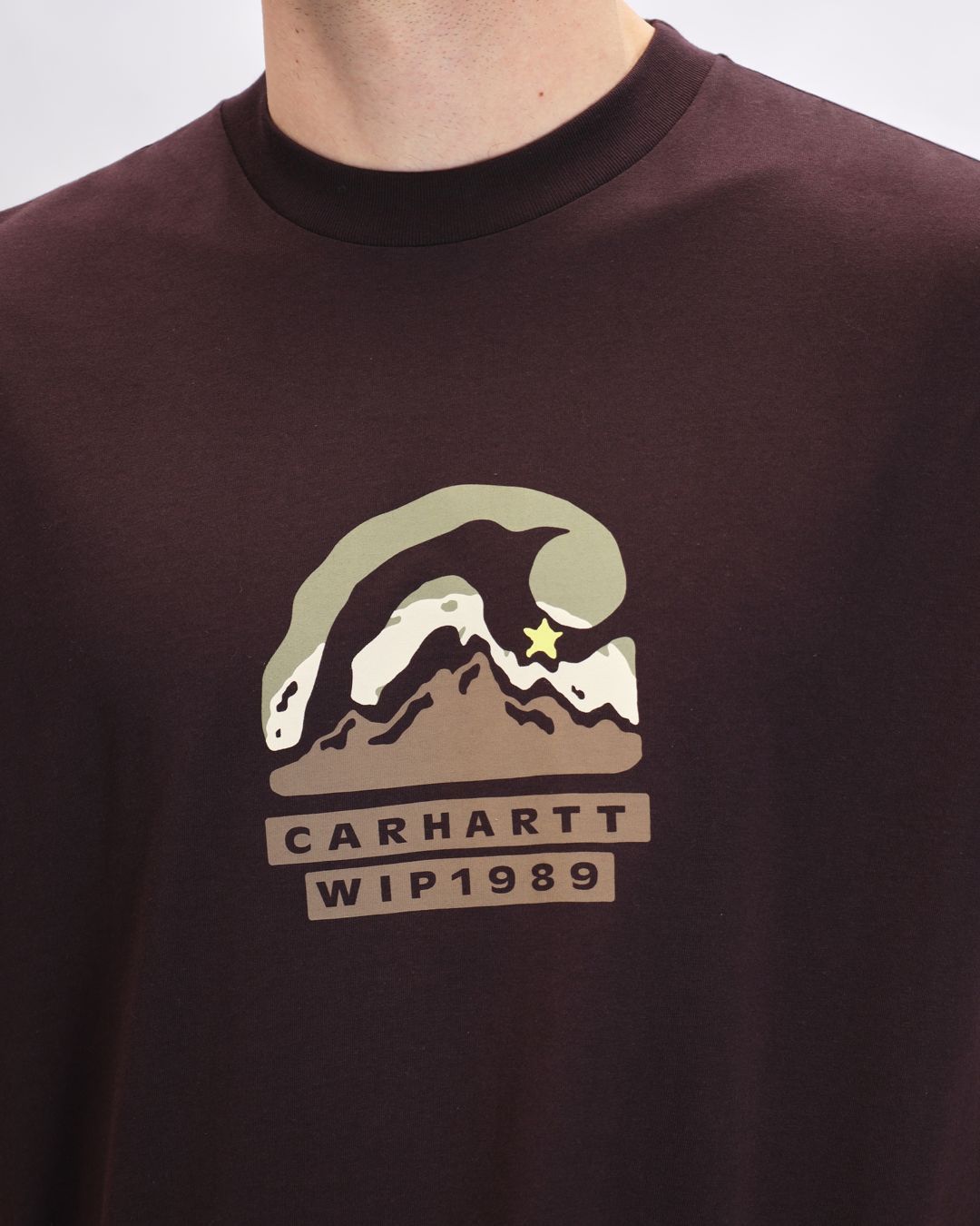 Купить Футболка CARHARTT WIP