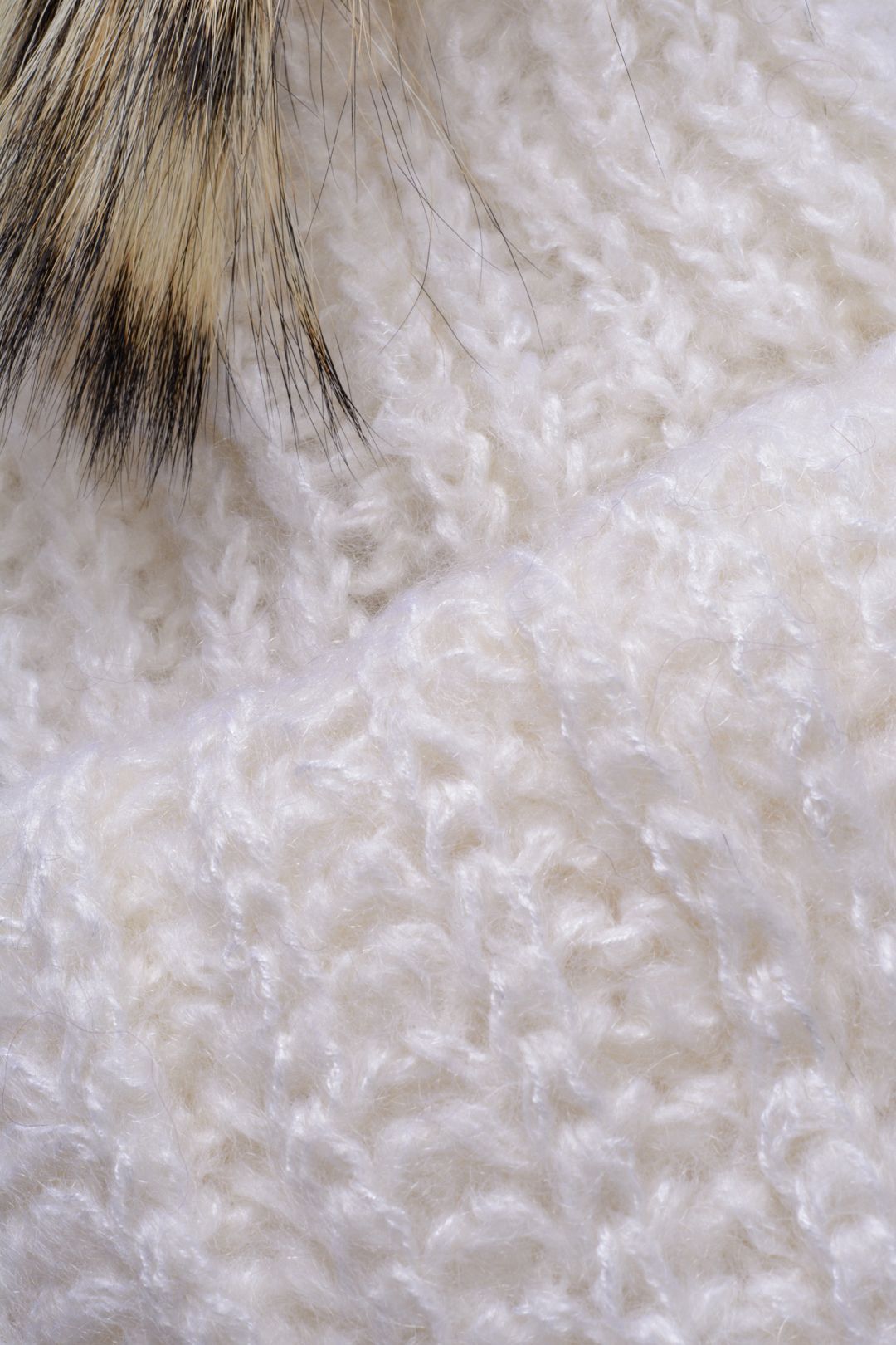 Купить Шапка INVERNI