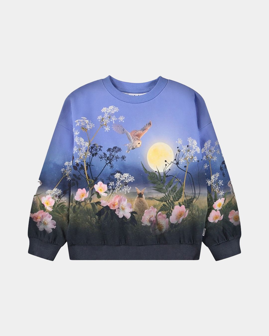 Купить Свитшот MOLO KIDS