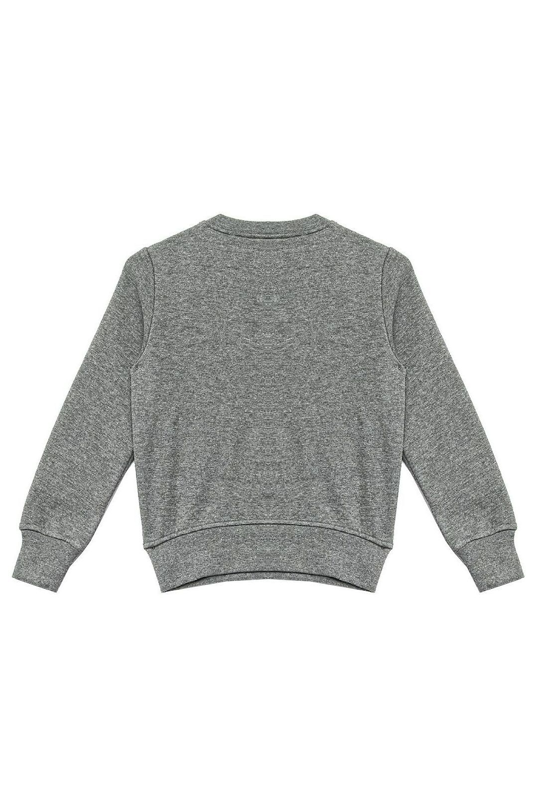 Купить Свитшот REPLAY