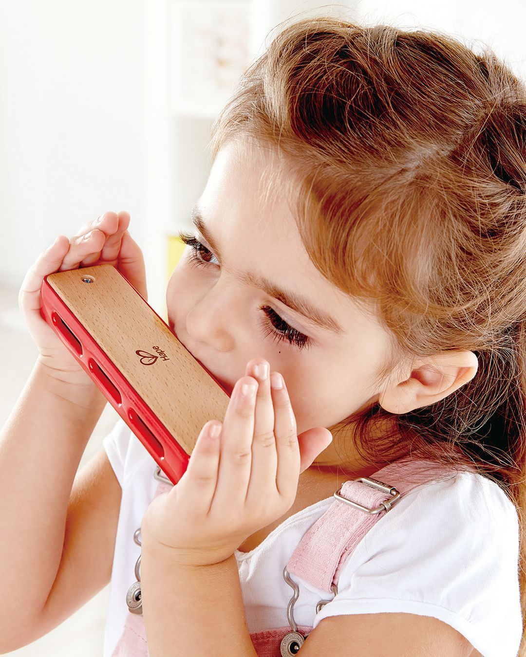 Купить Серия "буду музыкантом": губная гармошка HAPE