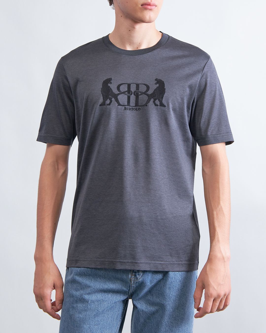 Купить Футболка BERTOLO