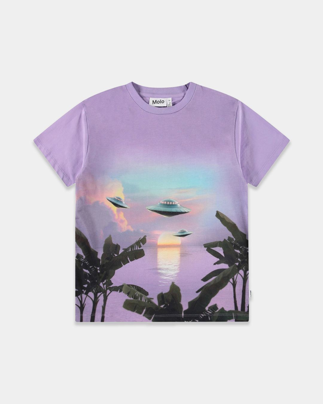 Купить Футболка MOLO