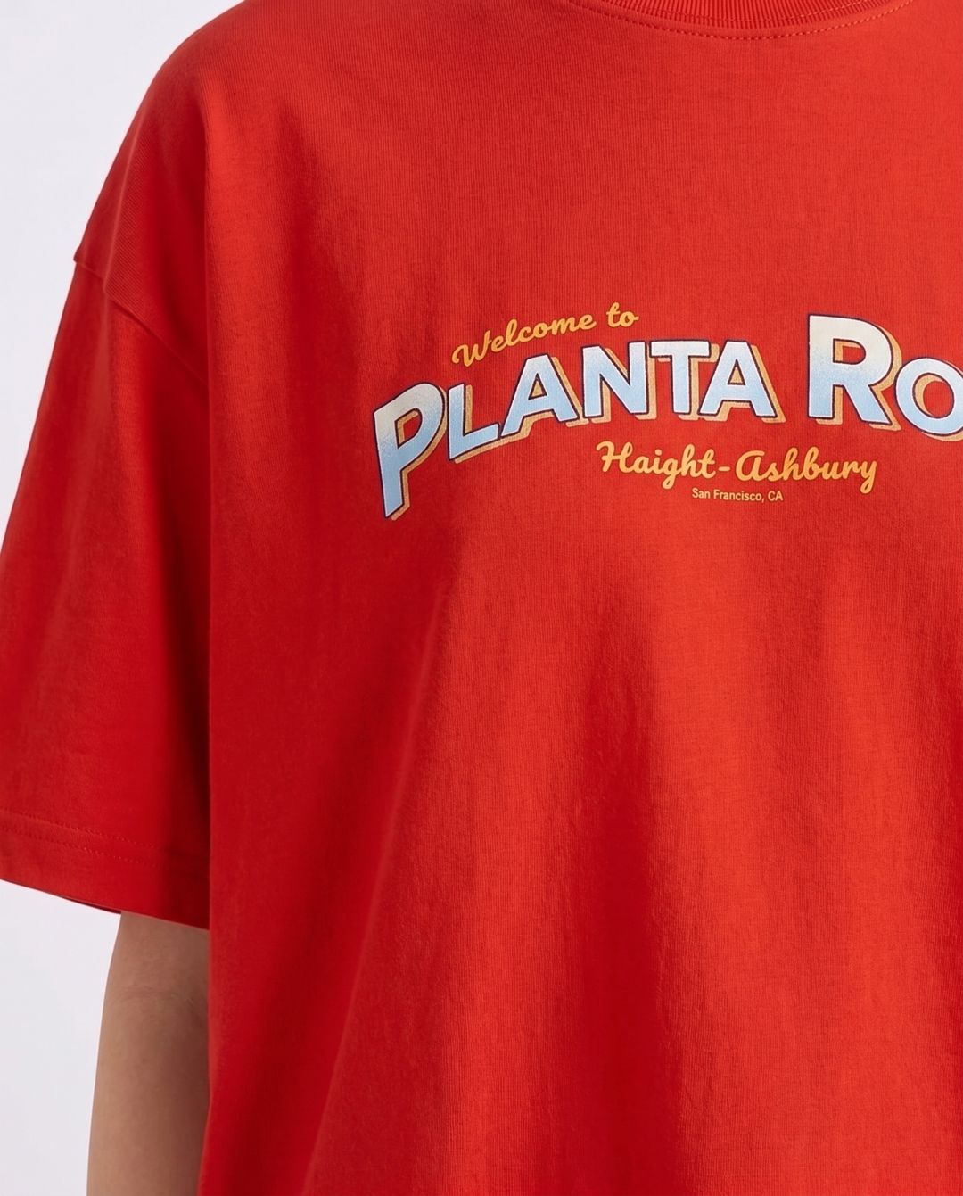 Купить Футболка PLANTA ROSA