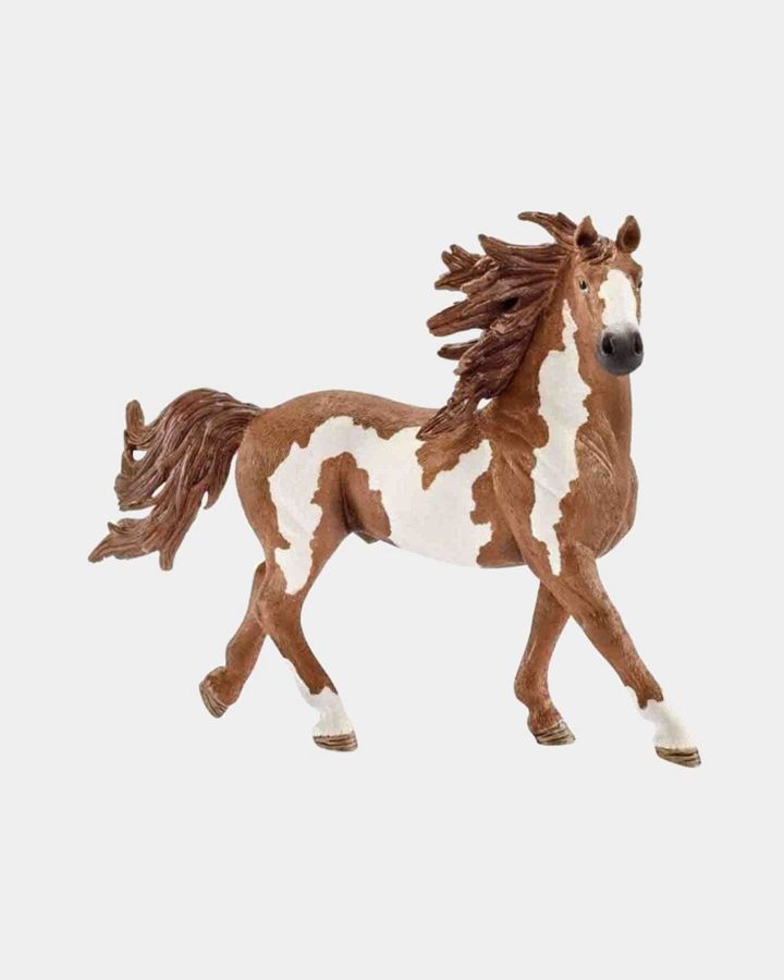 Купить Жеребец пинто 13794 SCHLEICH