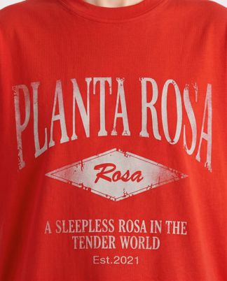 Купить Футболка PLANTA ROSA