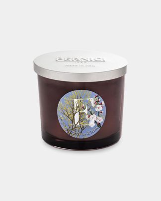 Купить Свеча ароматическая "e эвкалипт и мускус" PERNICI