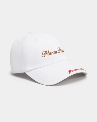Купить Кепка PLANTA ROSA