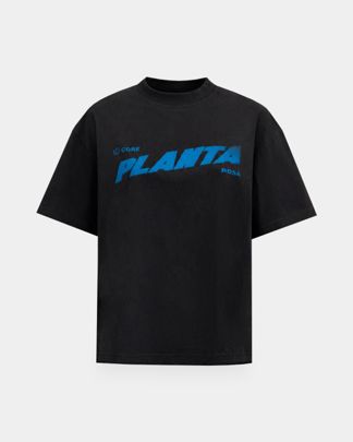 Купить Футболка PLANTA ROSA