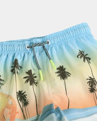 Купить Шорты пляжные MOLO