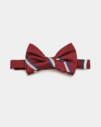 Купить Бабочка CORNELIANI