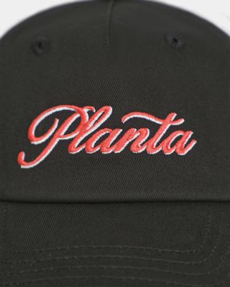 Купить Кепка PLANTA ROSA
