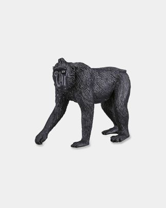 Купить Хохлатый павиан KONIK