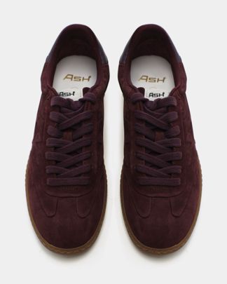 Купить Кеды ASH