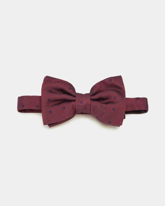 Купить Бабочка CORNELIANI