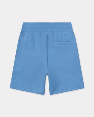 Купить Шорты MOLO