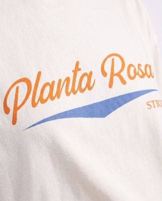 Купить Футболка PLANTA ROSA