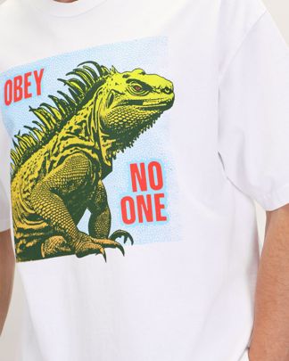 Купить Футболка OBEY