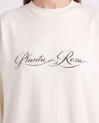 Купить Лонгслив PLANTA ROSA