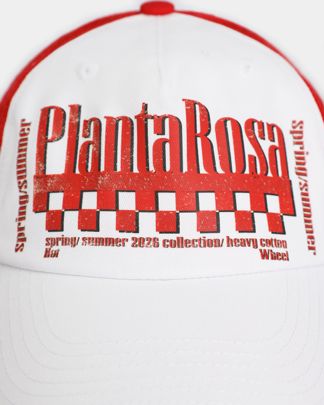 Купить Кепка PLANTA ROSA