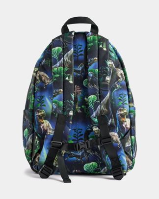 Купить Рюкзак MOLO