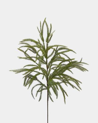 Купить Ветка EDG