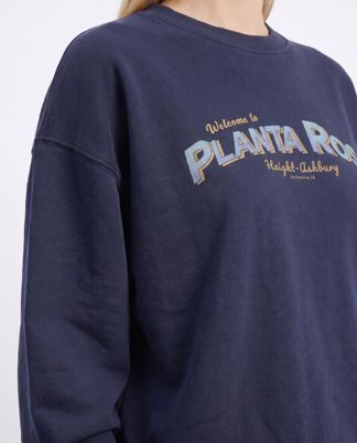Купить Свитшот PLANTA ROSA