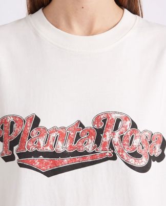 Купить Футболка PLANTA ROSA