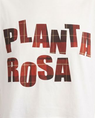 Купить Футболка PLANTA ROSA
