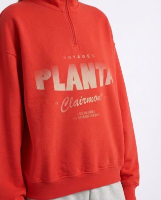 Купить Свитшот PLANTA ROSA