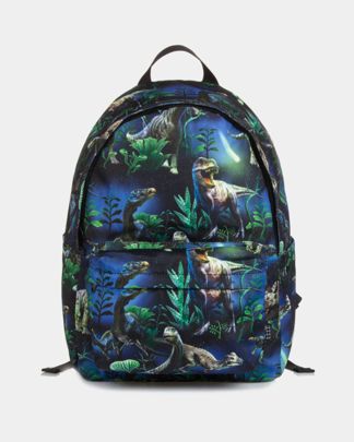 Купить Рюкзак MOLO