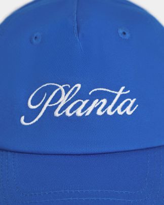 Купить Кепка PLANTA ROSA