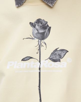 Купить Свитшот PLANTA ROSA