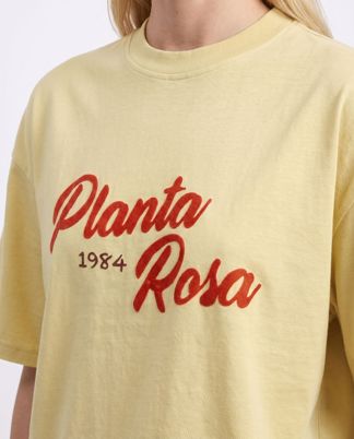 Купить Футболка PLANTA ROSA