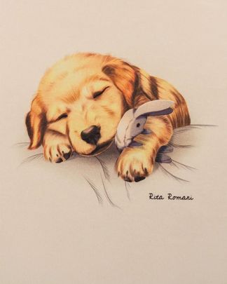Купить Пижама RITA ROMANI
